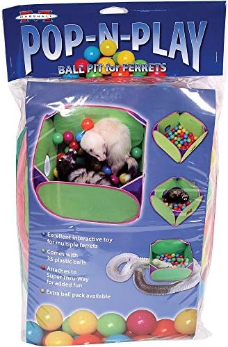 Marshall Pet Products Ferret Pop-N-Play Ball Pit, All Breed Sizes image 2
