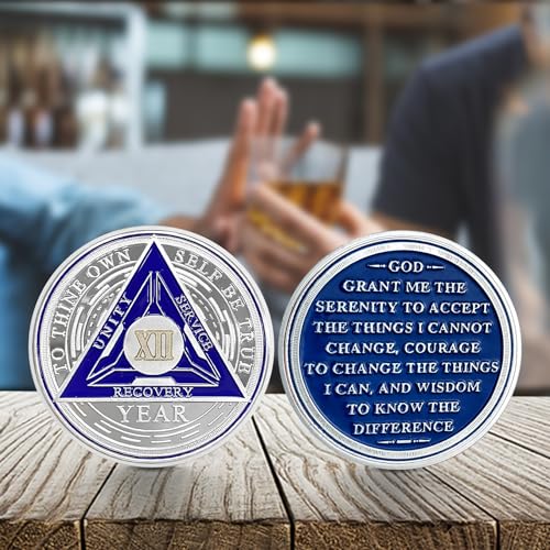 Image of Imasoner 12 Year Sobriety Coin Alcoholics Anonymous Medallion Sobriety Chip Anniversary Token Recovery Gift