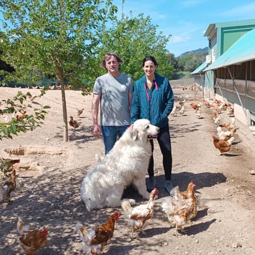 #14/ Ous ecol&ograve;gics amb la Gemma i en Jou, de Slou - Cultura Pagesa 24.4.2023