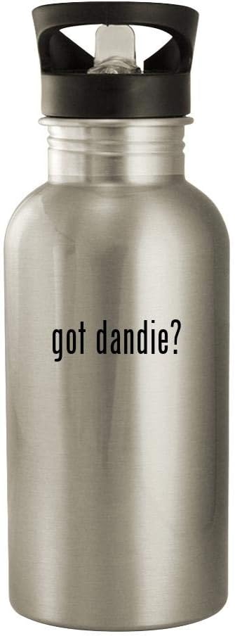 got dandie? - 20oz Stainless Steel Water Bottle, Silver