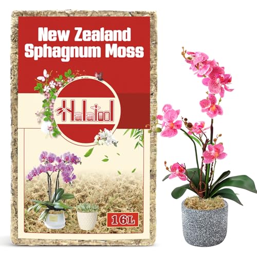 Halatool Premium New Zealand Sphagnum Moss 200g(16L When Hydrated) for Orchid Repotting Succulent Sarracenia Potted Plants Gardening & Reptiles