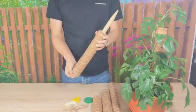 Bastoni Di Muschio Per Piante - 2 Pezzi 100cm, In Fibra Di Cocco, Con Accessori Per Rampicanti