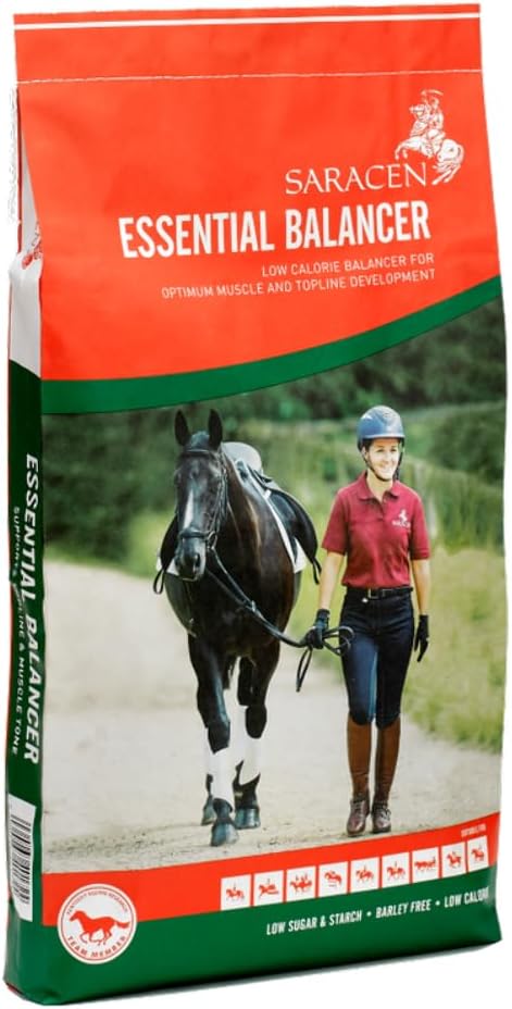 Essential Balancer - 20 kg