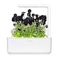 Click & Grow Schwarze Petersilie Nachfüllkapseln, 3er-pack für Smart Garden – Ansicht 3