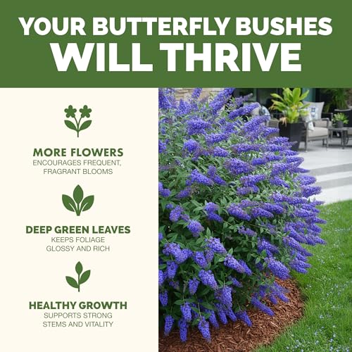 Fertilizante líquido para planta Butterfly Bush 32 oz miniatura 2