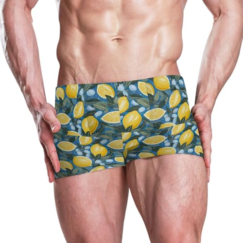 Lemon Mens Swim Trunk Swimwear Bathing Suit Swim Brief Square Leg Board Short S B04018012
