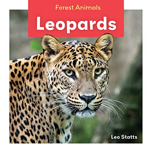 Leopards (Forest Animals)