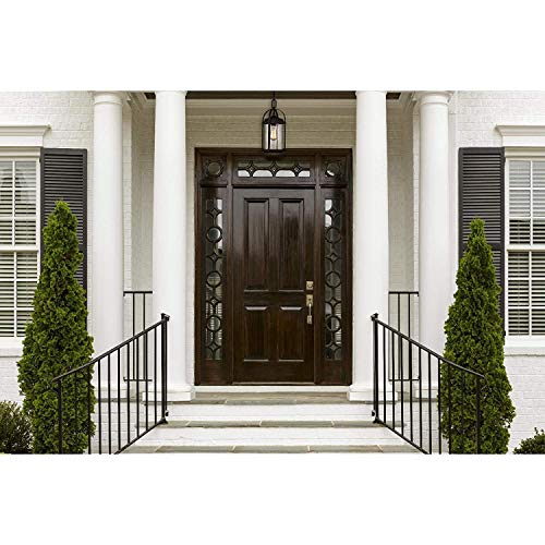 Westinghouse Grandview One-Light Outdoor Pendant, Oil Rubbed Bronze Finish With Highlights And Clear Seeded Glass 2 Pack #TOP4