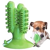 GingerUP Cepillo de Dientes en Perro Jugar - Dog Brushing Stick - Limpieza de higiene Dental - Juguete para Masticar (XL)