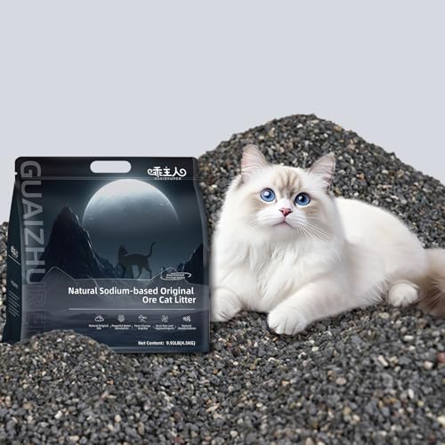 Bentonite cat litter