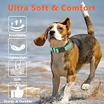 Reflective Dog Collar, Soft Neoprene Padded Pet Collar for Small, Medium, Large Dogs, Adjustable Puppy Collars with Quick Release Buckle, Safe Breathable Nylon Dog Collars for Puppies(Teal,XS) - Image 6