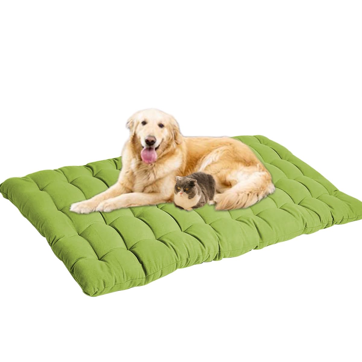 Lit pour chien vert 80x40 cm panier douillet pour le salon