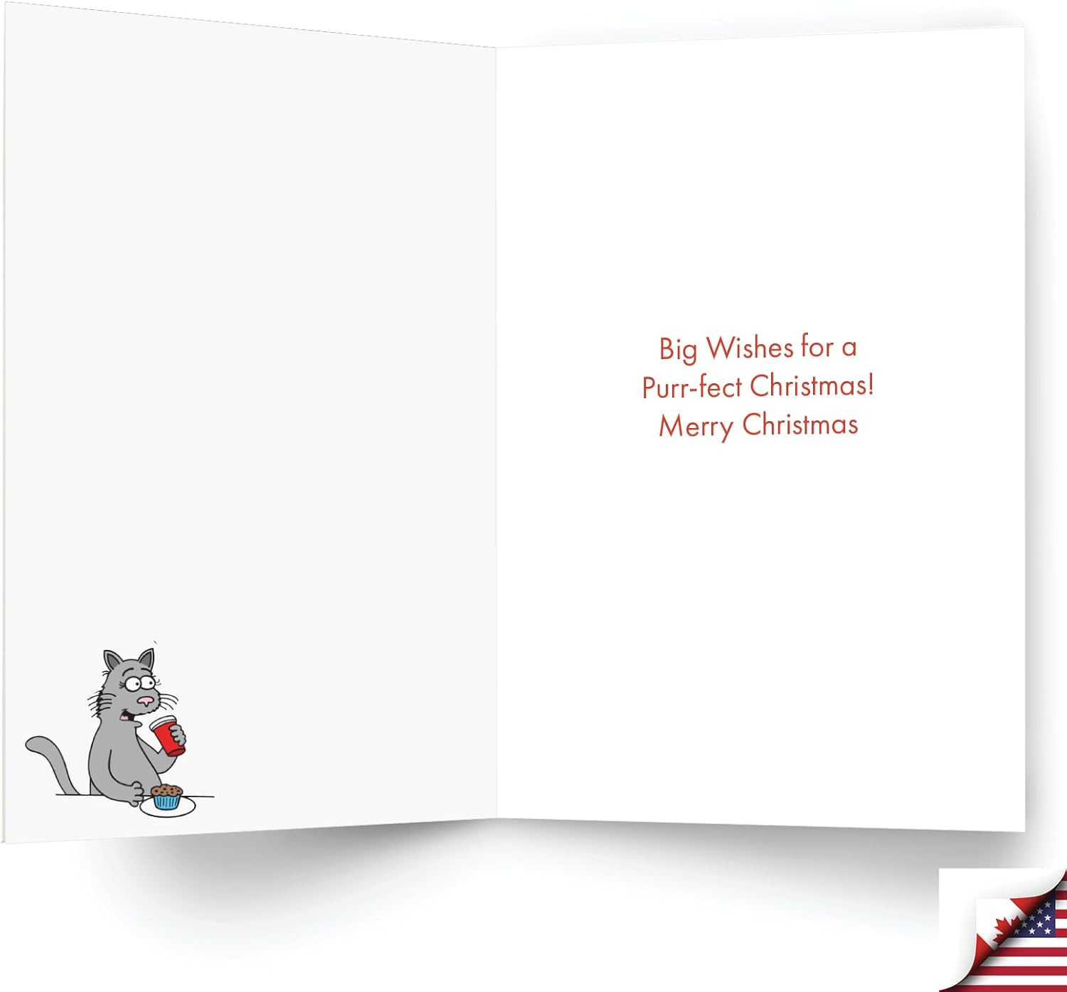 NobleWorks 12 Funny Christmas Cards w/5 x 7 Inch Envelopes (1 Design, 12 Each) - Local Gifts C8764XSG-B12x1