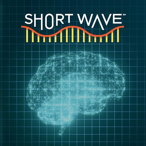 Mental ‘Workouts’ Could Keep Your Brain Young