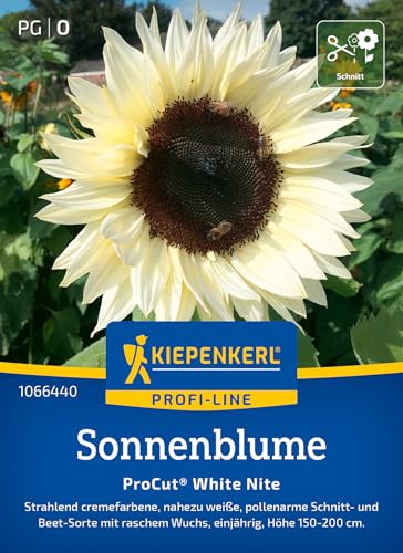 Kiepenkerl Profi-Line Sonnenblumensamen ProCut® White Nite 1066440 - Nahezu weiße, einjährige und pollenarme Schnitt & Beetsorte - Wildblumensamen, Blumenwiese