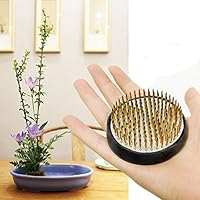 SteelFever Hochwertigem Blume Frosch rund Halterung für Arrangements, Größe 6 x 6 cm Blumensteckiggel