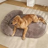 Odot Hundebett Grosse Kleine, Kleines Katzenbett, Plüsch Abnehmbar Hundekörbchen, Orthopädisches Hundekissen Waschbar, Weiche Polsterung, rutschfest Hundesofa (Braun,XS)