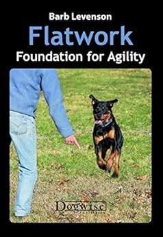 Kindle Store,Kindle eBooks,Crafts, Hobbies & Home Flatwork: Foundation for Agility Barb Levenson