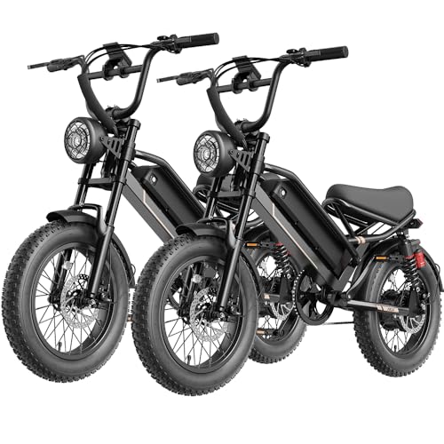 Electric Bike for Adults, Electric Dirt Bike 2000W/1500W Peak Motor,E