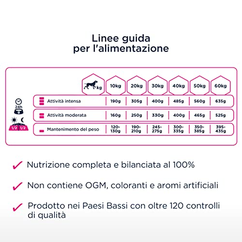 Eukanuba Daily Care Working & Endurance Alimento