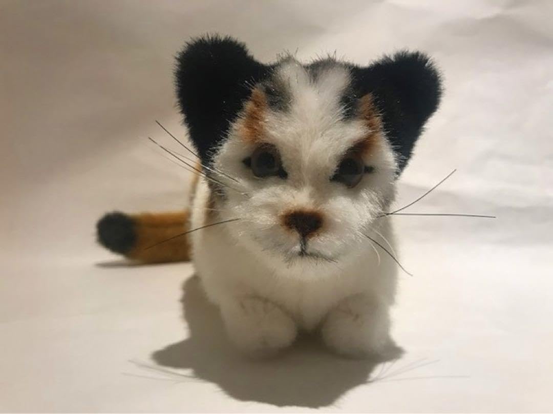 Amazon.co.jp: ケーセン kosen ネコ ねこ 猫 三毛猫 にゃんこ