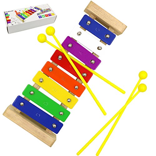DigHealth Xylofoon voor peuters, Glockenspiel voor kinderen, houten xylofoon met felle, veelkleurige staven en 2 paar kindveilige plastic hamers, 8 getinte muziekinstrumenten, perfect kindercadeau