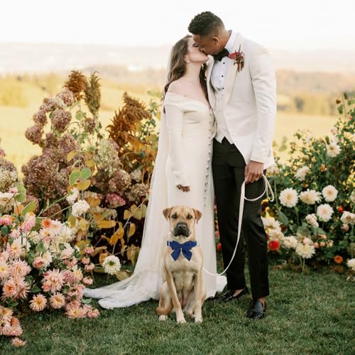 Tie KTWSUEF Hundehalsband Fliege Samtige, Fliege für Hunde, Komfortable Haltbarkeit Halsband Hund, Abnehmbares und verstellbares Fliege Hunde Für Hochzeiten, Geburtstage, Festliche