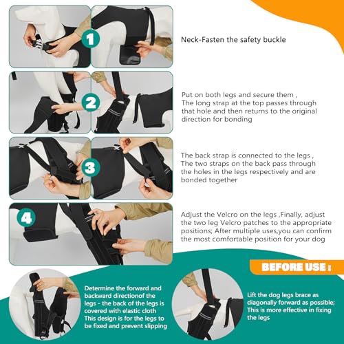 Image of Dog Knee Braces for Torn ACL Hind Leg, Adjustable Joint Brace Non-Slip