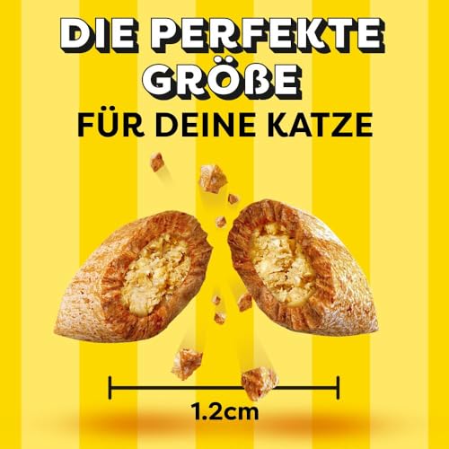 DREAMIES Katzensnacks - 12x60g - mit Huhn, Käse und Lachs - Traumhaft knusprige Katzen Leckerlies mit zarter Füllung - Variety Snack Box