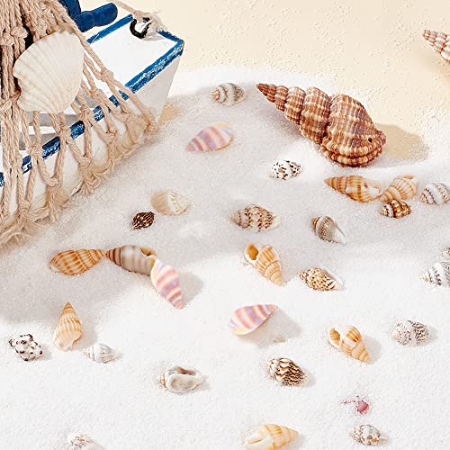 PH PandaHall 260pcs 4 Styles Mini Seashells - Image 2