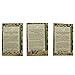 Magic Garden Seeds Tabaco para Cigarrillos - Semillas-Set de Regalo con 3...