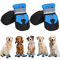 Frontline Combo Spot-On Hond S - 2-10 kg ▻ Pak je voordeel vandaag nog Frontline Combo Spot-On Hond S - 2-10 kg ▻ Pak je voordeel vandaag nog