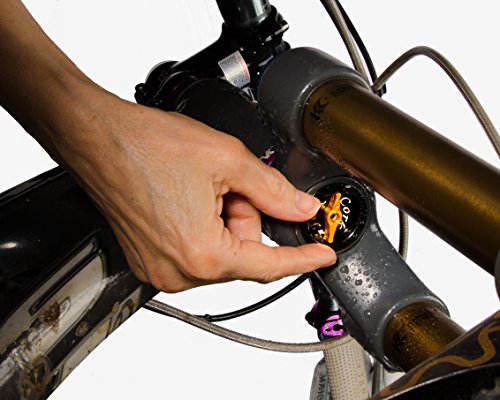 Miles Wide Fork Plug Miles Wide Fork Cork Tapered Fork Aly Steerer Plug