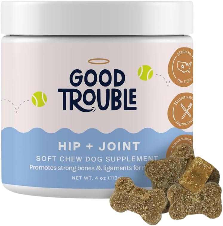 Good Trouble Pets Hip & Joint Supplement for Dogs – Bacon & Chicken Flavor, 30 Chews – Enhance Joint Health & Mobility for Your Canine Companion Good Trouble Pets Hip & Joint Supplement for Dogs – Bacon & Chicken Flavor, 30 Chews – Enhance Joint Health & Mobility for Your Canine Companion