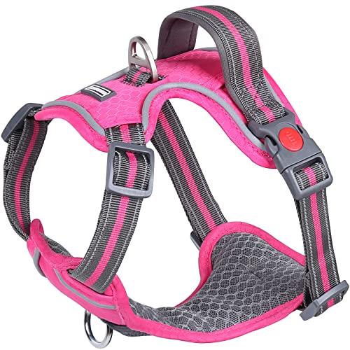 Top 10 Ruffwear Front Range Nopull Dog Harnesses of 2022 Best
