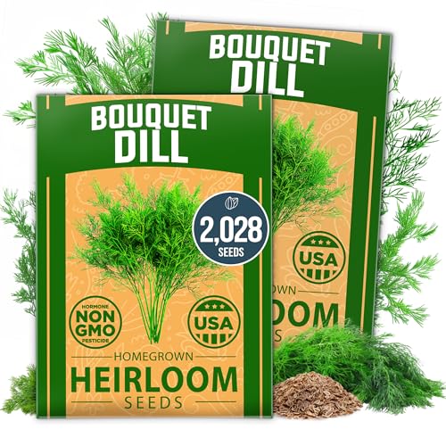 Image of HOME GROWN Dill Seeds 2 Pack (Anethum Graveolens) - 2028 Non-GMO Heirloom Herb Seeds for Planting Indoors or Outdoors, High Germination, Ideal for Herb Gardens, Pots, and Cooking Flavorful Dishes