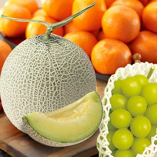 ~Mtg Ε ʕlߍ킹 t[clߍ킹 ̋lߍ킹 Y 3Zbg [ F{Y A[X(1) / 쥎RY VC}XJbg Ԃǂ(1[ 500~600g) / a̎RY ݂(1.5kg) ] 炩Ȍ