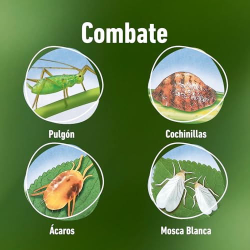Miniatura 4 de COMPO Fazilo Insecticida Acción Total, Plantas ornamentales, 750 ml | Efecto acaricida e insecticida por contacto e ingestión, listo para usar en pulverizador, acción inmediata