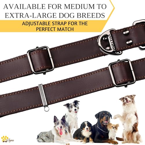 ADITYNA Hundehalsband aus Leder mit Metallschnalle, strapazierfähig, verstellbar für große und extra große Hunde, Spaziergänge und Training (Braun, passend für Halsumfang von 48,3–76,2 cm)