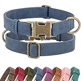 Didog Soft PU Leather Dog Collar, Stylish Quick Released Dog Collars for Small Dogs, Easy Clean Adjustable Pet Collar for Daily Walking, Blue, S Fit 10-16' Neck