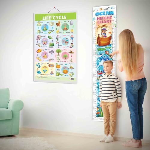 Image of GO WOO Life Cycle Chart and OCEAN HEIGHT CHART | Set of 2 charts 1 Educational + 1 Height Chart | An Interactive Combo for Curious Kids