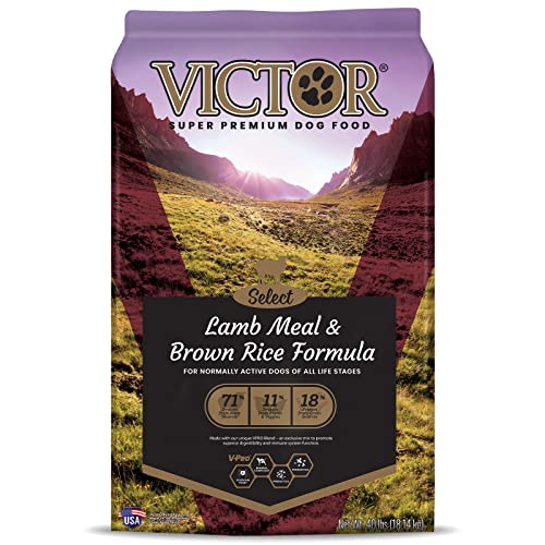 10 Reasons Victor Super Premium Dog Food is the Best Choice for Your Furry Companion A