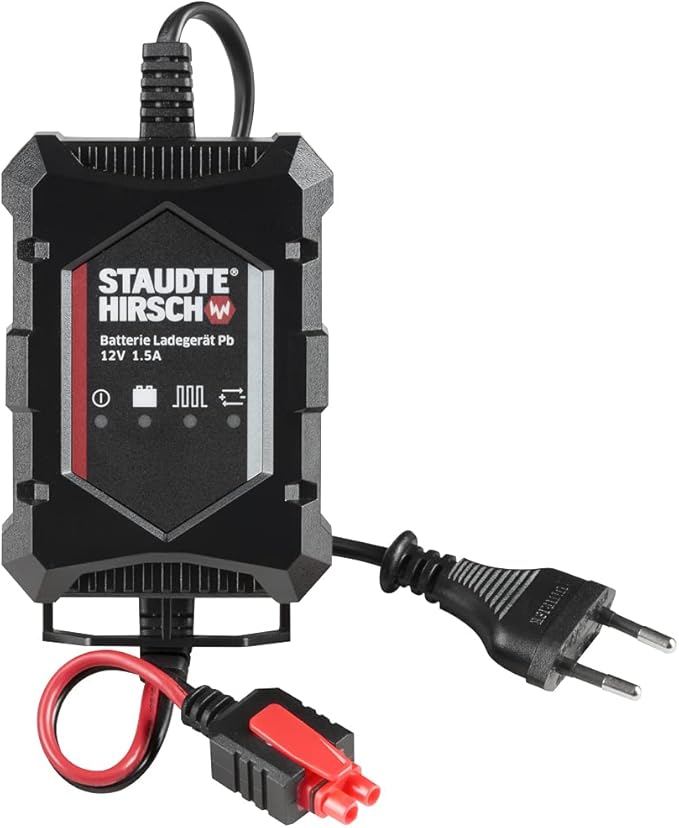 ladegerät mit desulfatierungsfunktion