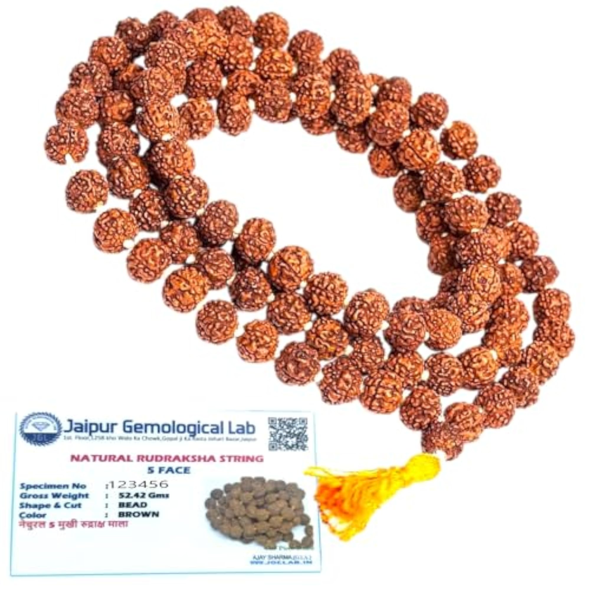 Genuine Original 5 Mukhi Rudraksha Maala, Certified