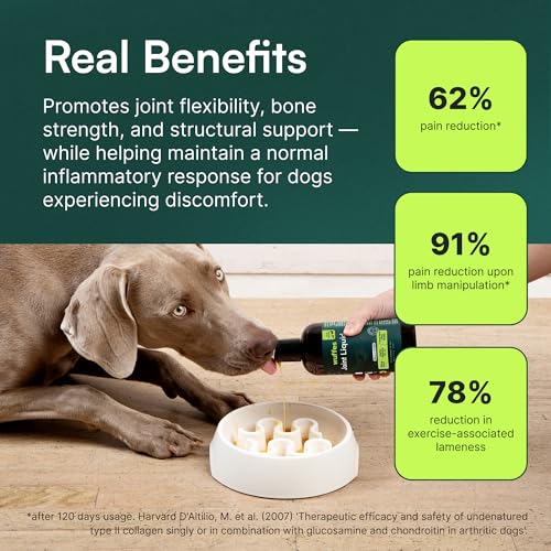 Wuffes Liquid Collagen & Glucosamine for Dogs, Hip & Joint Support, 16 oz. with UC-II Collagen, Glucosamine, Chondroitin & MSM. Supports Mobility, Cartilage & Joint Flexibility. Beef Flavor - Image 4