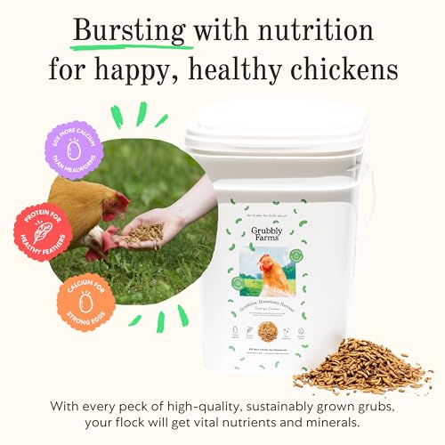 Image of Grubbly Farms Love Tub - Black Soldier Fly Larvae for Chickens - Chicken Treats with 50x More Calcium for Strong Eggshells and Healthy Feathers - Grown in the US and Canada - 5lb Reusable Tub