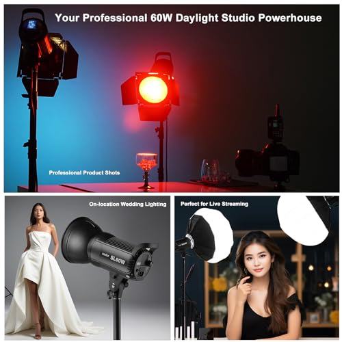 Image of Godox SL-60W CRI 95+ LED Video Light SL60W White 5600K Version 60WS Bowens Mount+Remote Control+Reflector