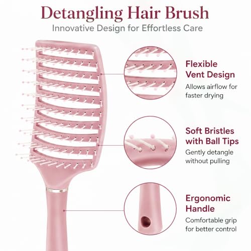 Image of GLUN Portable Detangling Hair Brush Pack of 1 Pink Colour, Curly & Straight Hair Brush for Women & Men Accessories Use in Salon, Home & Personal Use