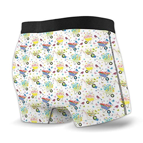 Men's Boxer Briefs Underwear,Rainbow Striped and Checkered Pattern Wheelbarrows Full of Wild Flowers and Birds XL
