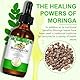 Moringa Oil für Haare, Haut, Gesicht - 60ml Moringa Öl kaltgepresst Pflege für Haarwachstum, Anti-aging, Nährendes & Revitalisierendes öl